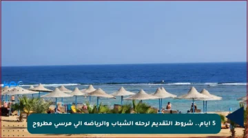 5 أيام.. شروط التقديم لرحلة الشباب والرياضة إلى مرسى مطروح